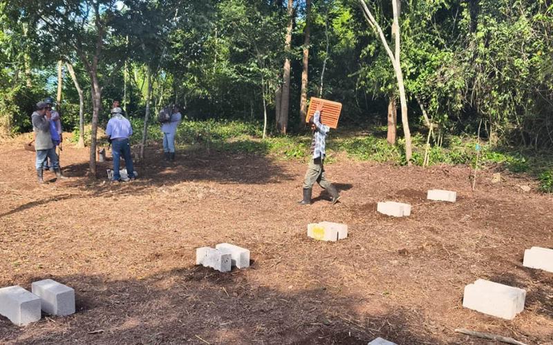 Impulsan la formación apícola en Petén