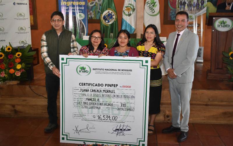 Incentivos forestales promueven conservación de los bosques