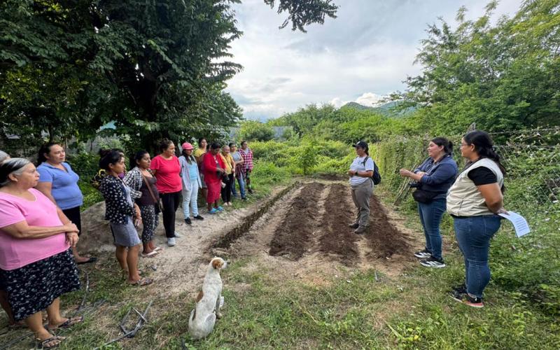 Mujeres rurales fortalecen rol en la agricultura familiar