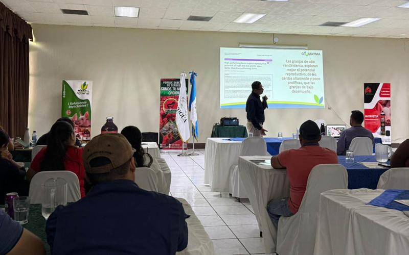 Taller fortalece conocimientos técnicos en producción porcina 
