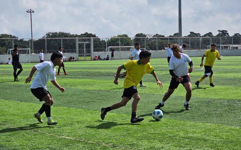 Liga MCD Empresarial 2025