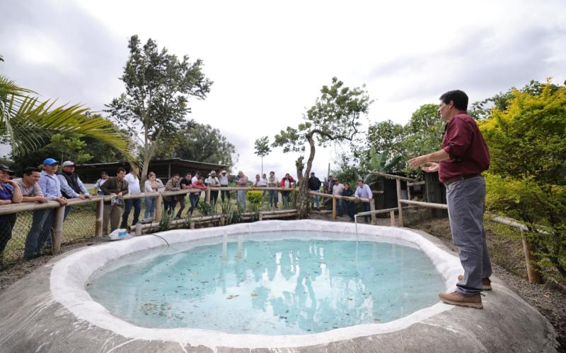 Inauguran plan piloto de cultivo de tilapia para fortalecer la nutrición y la producción familiar