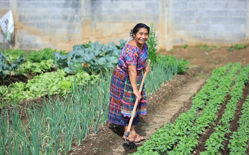 Productores y agricultores familiares se benefician de cambios en el PAE