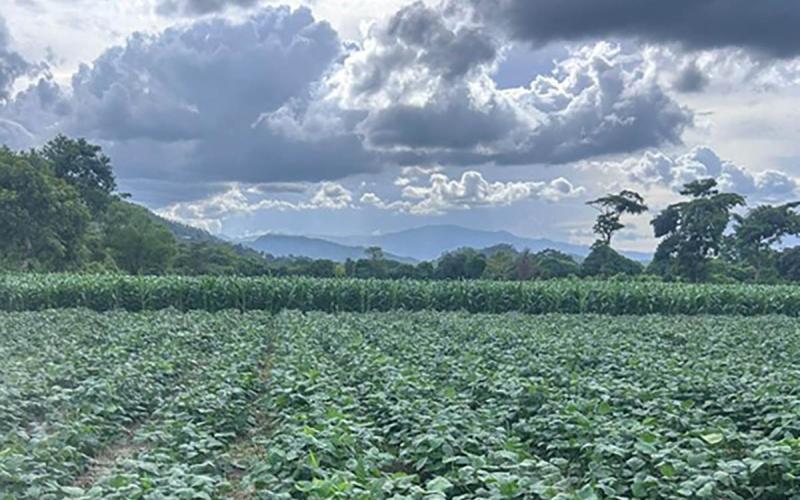 Se prevé ambiente frío, neblina y fuertes vientos para este fin de semana