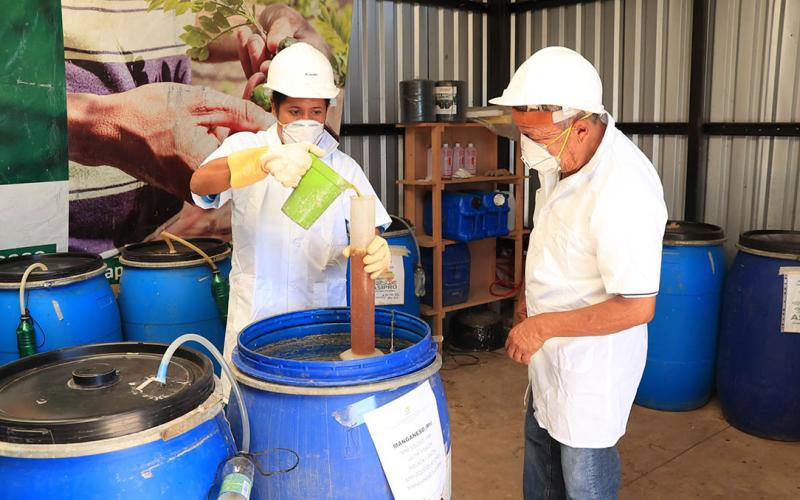 ¿Qué son los Bioinsumos en la agricultura?