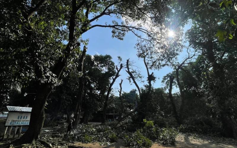  se comenzó con la poda de árboles en la cabecera norte del aeródromo, específicamente en el área de mangales ubicada dentro del complejo deportivo. 