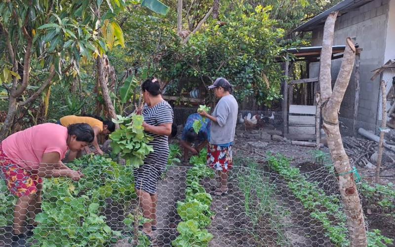 Agricultoras de Quezaltepeque demuestran resiliencia en la producción de alimentos