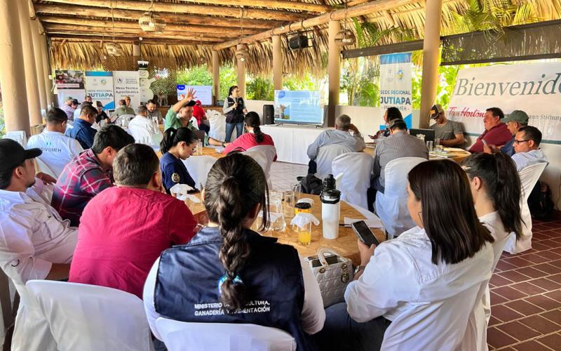 Fortaleciendo la generación y uso de información agrícola climática