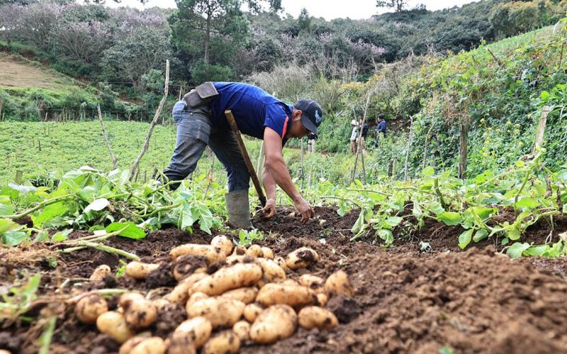 Persisten las lluvias y el riesgo de heladas en 17 departamentos