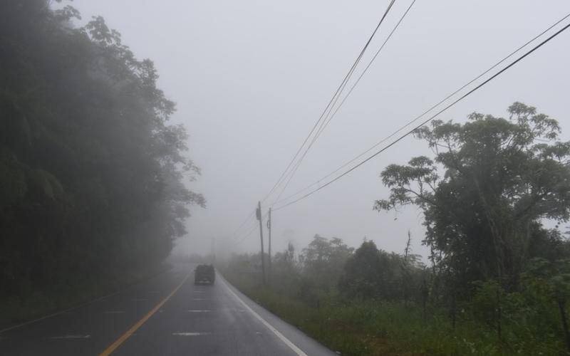 Neblina