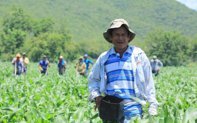 Segunda Cosecha: Alianzas interinstitucionales impulsan el desarrollo agropecuario 