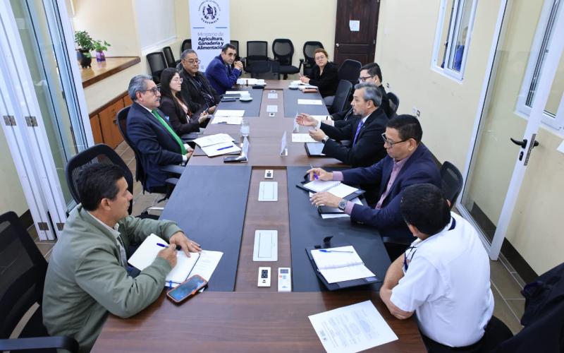 Cooperación con el OIEA apunta a mejorar la seguridad alimentaria en Guatemala