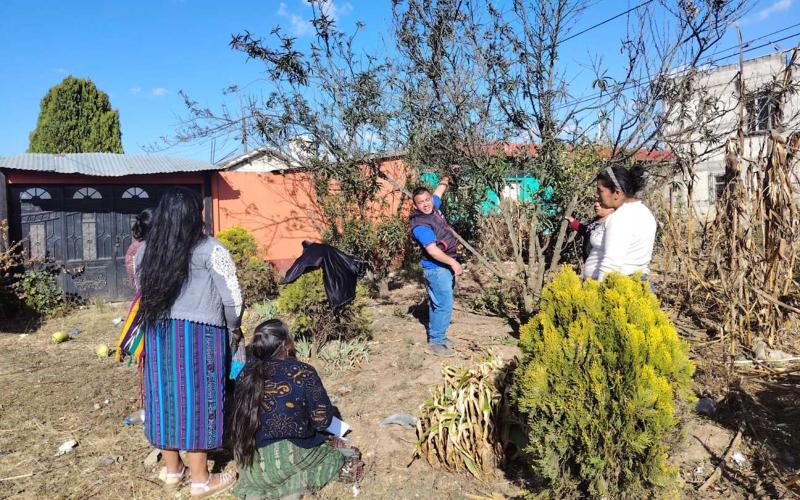 Familias de Salcajá reciben capacitación en manejo de frutales deciduos
