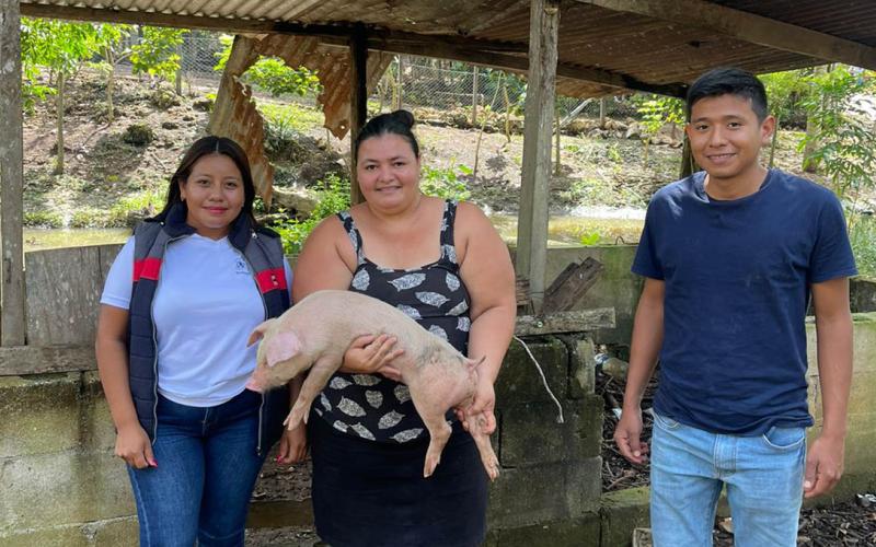 Fortalecen porcinocultura familiar en Petén