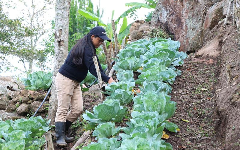 Prácticas de uso de la tierra