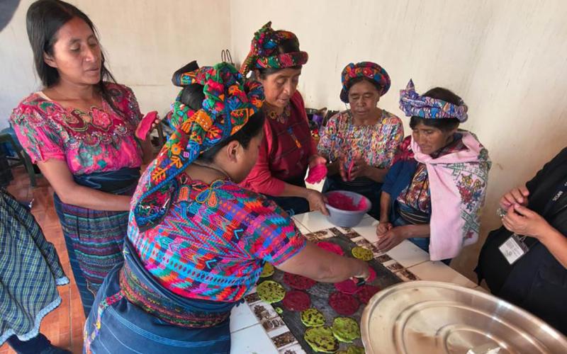 Promueven la seguridad alimentaria y el bienestar del hogar en Quetzaltenango