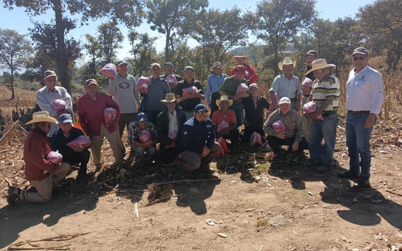Agricultores de San Pedro Ayampuc reciben apoyo técnico y semillas de ICTA