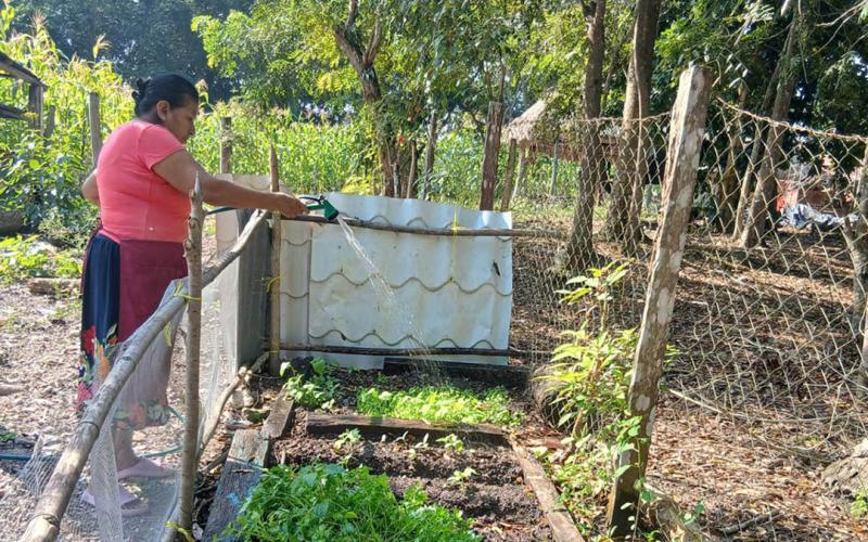 Familias rurales reciben asistencia para mejorar sus cultivos de alevines