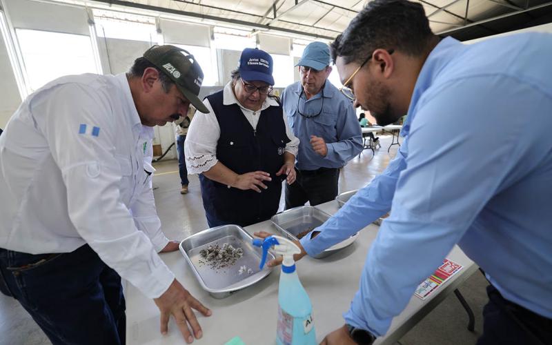 Fortalecen coordinación con sector semillero exportador