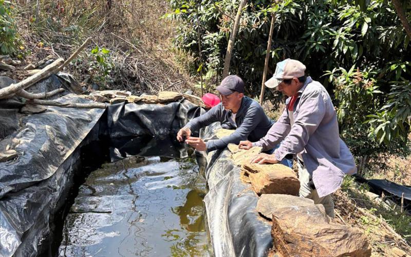 Impulsan la producción acuícola y hortícola en Huité