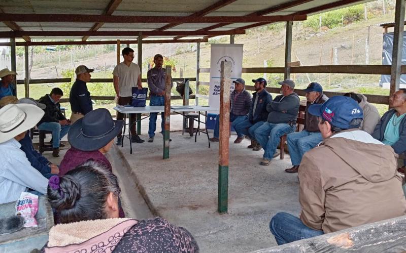 Productores de Quiché fortalecen capacidades para mejorar competitividad agropecuaria