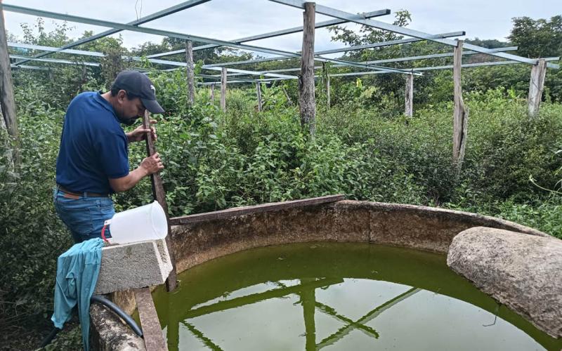 Del estanque a la mesa: el primer cultivo de tilapia de José Roldán