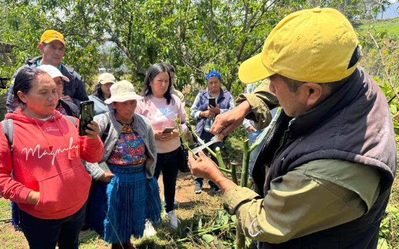 Capacitan a promotoras rurales en manejo fitosanitario de árboles frutales