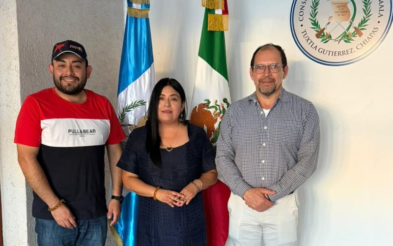 nota de prensa
