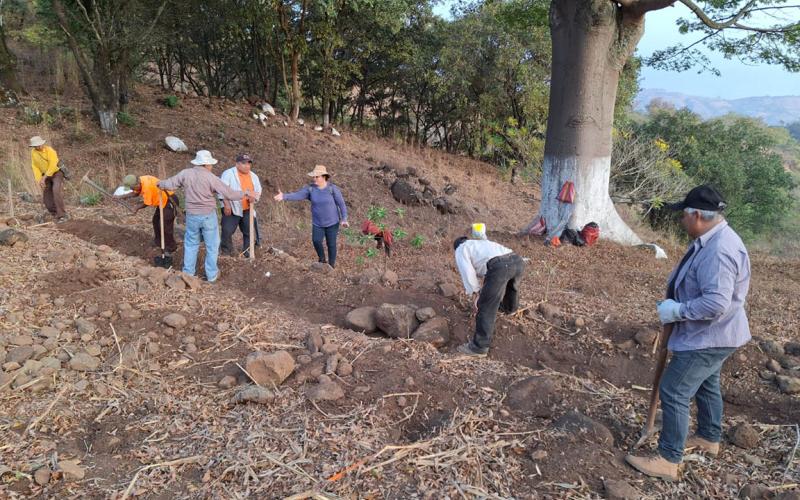 Impulsan la conservación de suelos en San Pedro Ayampuc