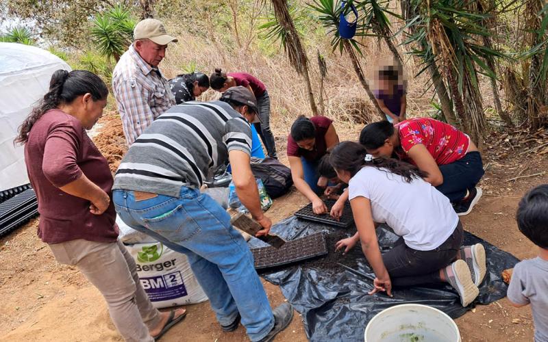 Optimizan capacidades productivas de familias agricultoras de Zacapa