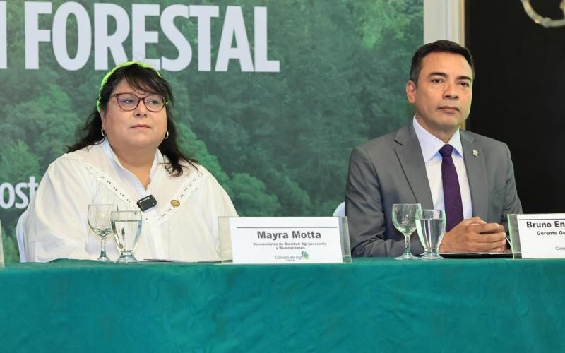 Presentan estrategia de gestión forestal para fortalecer sostenibilidad del sector agro
