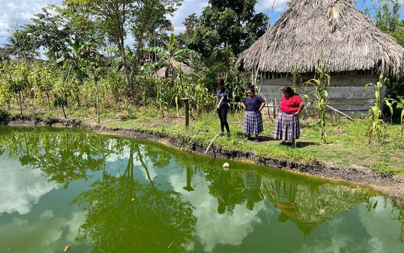 Se impulsan acciones para mejorar manejo de estanques y fortalecer la producción acuícola