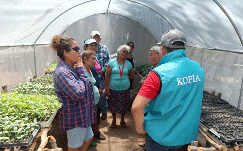 Supervisan avances técnicos en la producción de hortalizas del proyecto MAGA/KOPIA