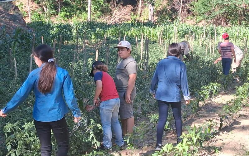 Impulsan huerto pedagógico con apoyo comunitario en Zacapa