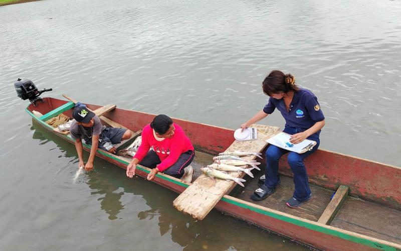 Monitorean especies de peces comerciales en el río La Pasión