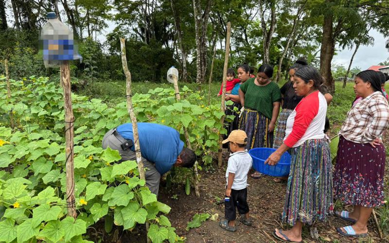 De la semilla a la mesa: mujeres Q’eqchi’ cosechan en Ixcán
