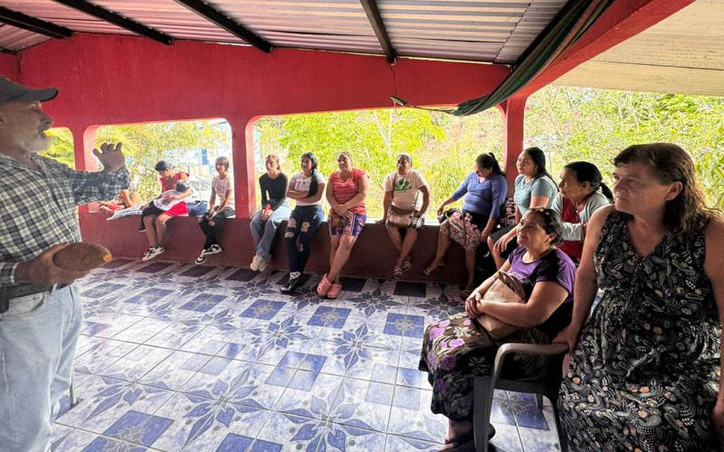 Impulsan el cultivo y transformación del camote en Morazán