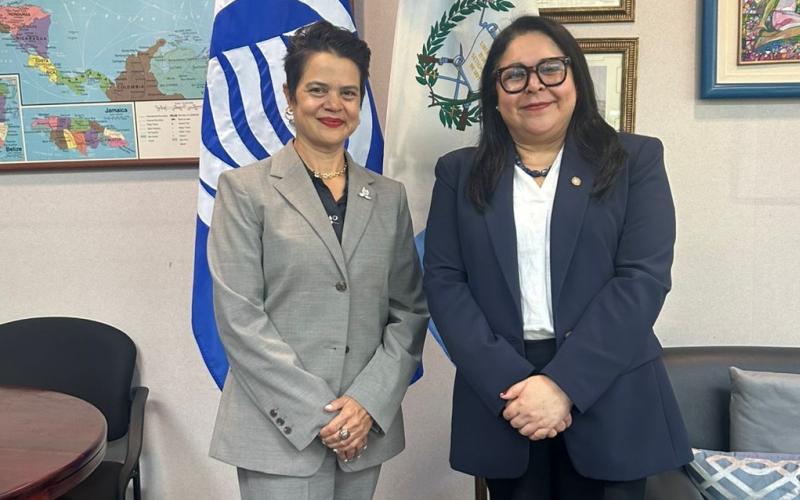 nota de prensa