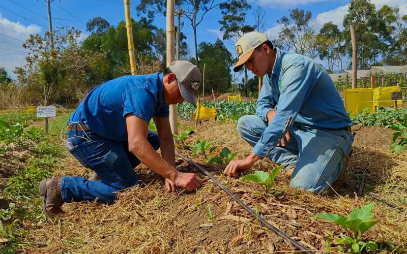 Alumnos de la ENCA impulsan la producción de hortalizas sostenibles