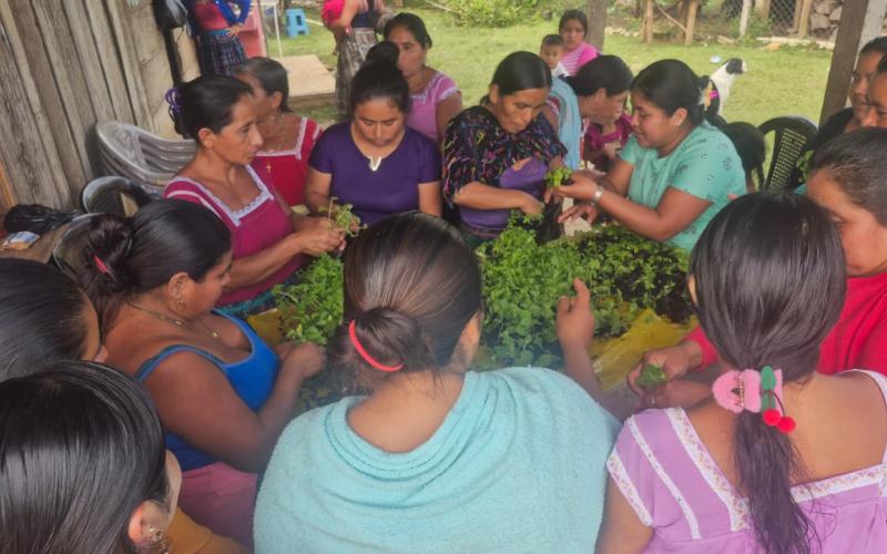 Familias de Poptún beneficiadas con pilones de hortalizas 