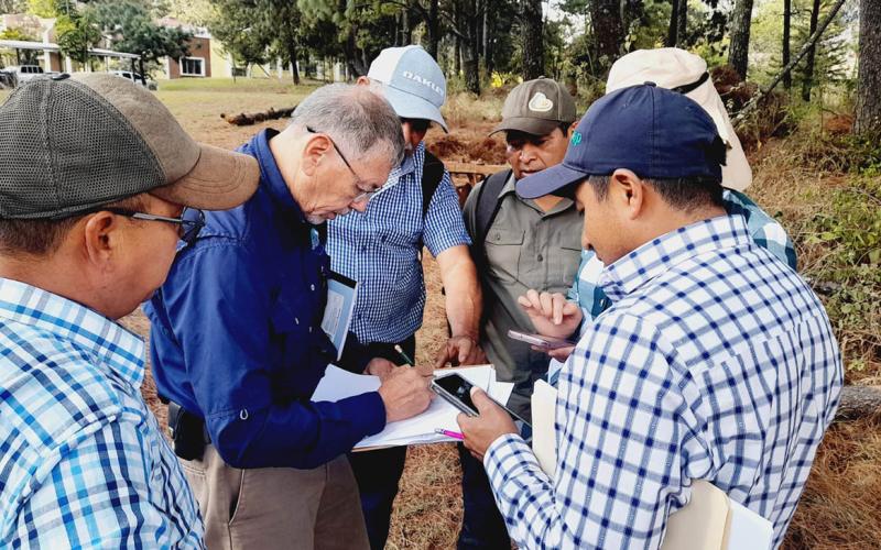 Sistemas agroforestales impulsan la productividad sostenible