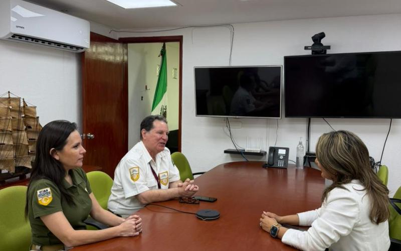 nota de prensa