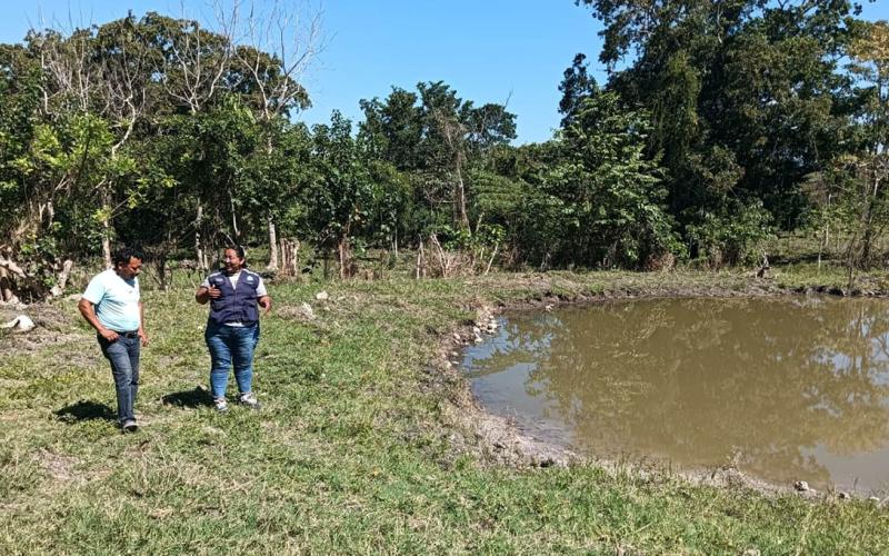 Impulsan cultivo de tilapia en Petén