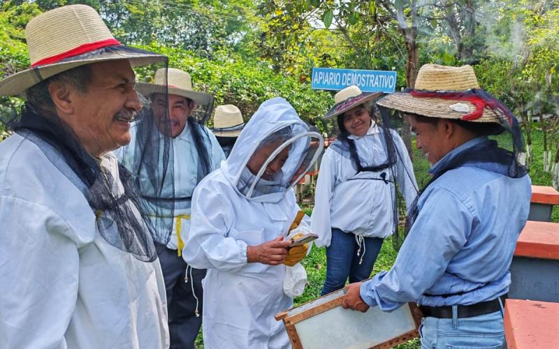 Mejoran la cadena de valor apícola en Tejutla