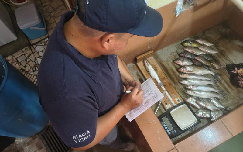Monitorean especies pesqueras de Río Dulce