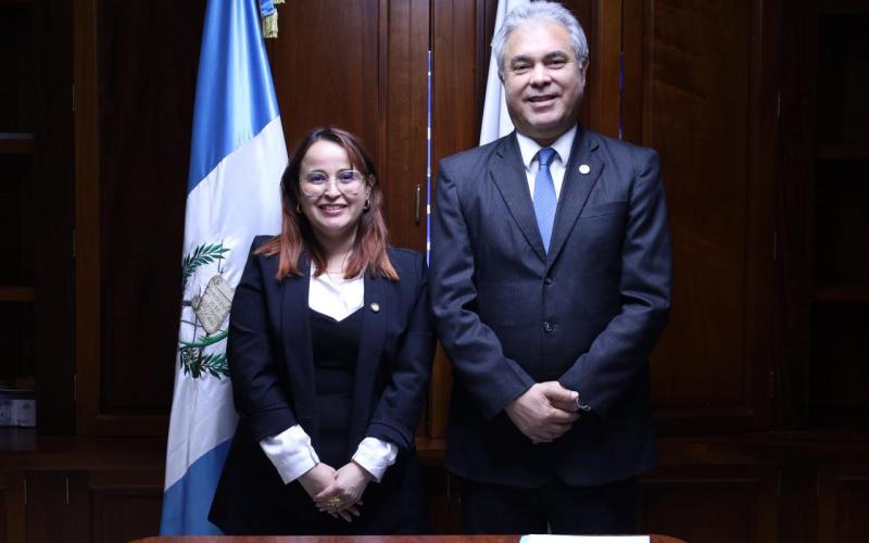Viceministra de Mingob se integra a Junta Directiva de Guatel
