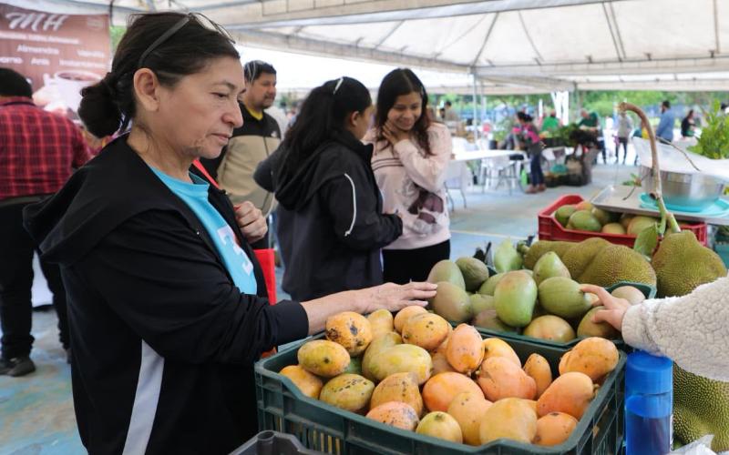 Próxima Feria del Agricultor en Totonicapán