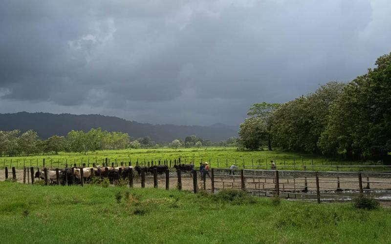 Para esta semana se prevé que continúe el calor y se presenten lluvias irregulares