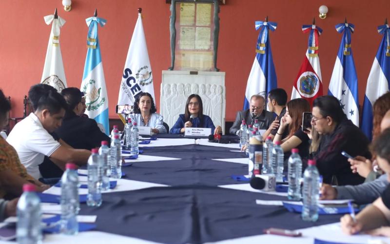 Hacia el relevo de la representación social  en los Consejos Departamentales de Desarrollo