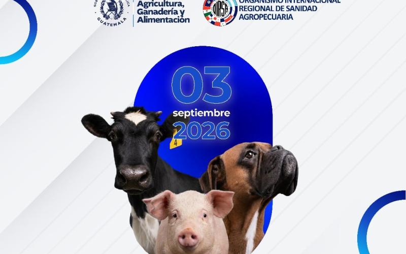 Taller virtual para fortalecer la vigilancia del Gusano Barrenador